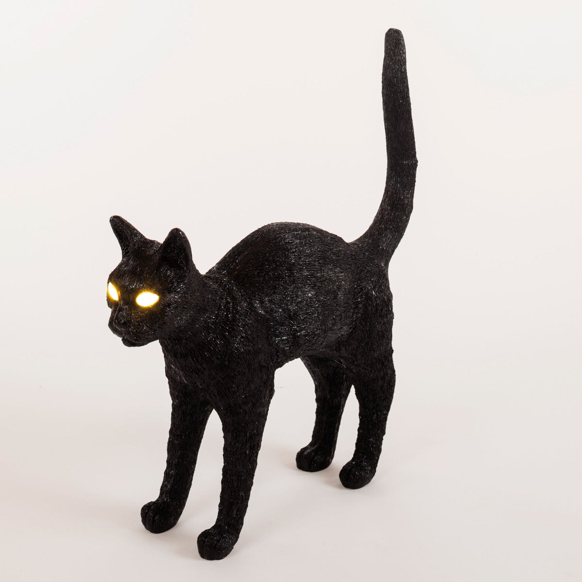 Black cat with luminous yellow eyes, body turned right, and tail raised in an alert pose.