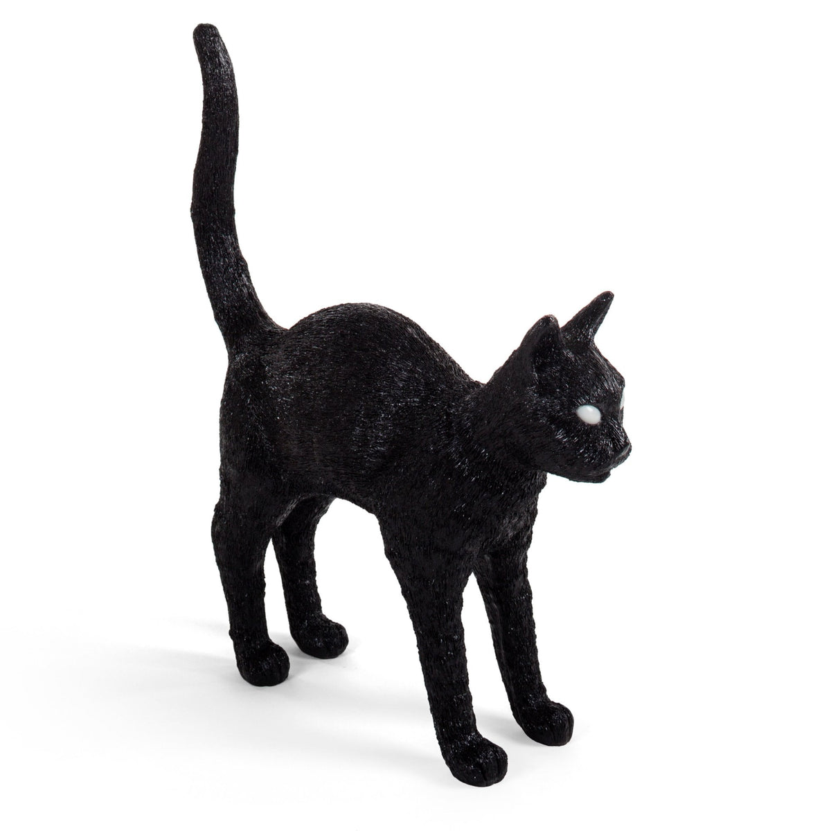 Black cat with pale white glowing eyes, arched back, and tail raised in an alert pose.
