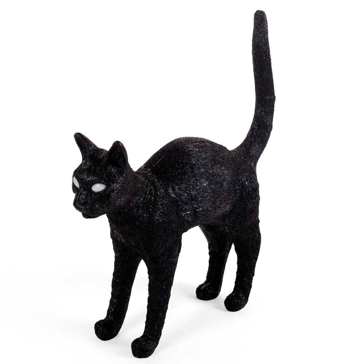 Black cat with pale white glowing eyes, body turned right, and tail raised in an alert pose.