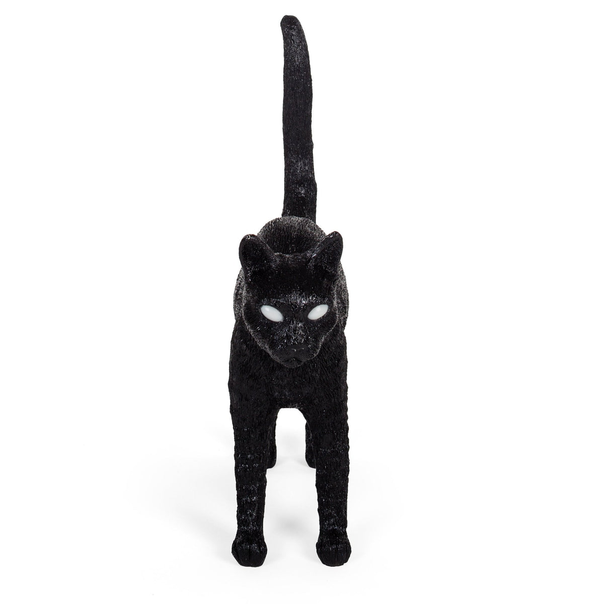 Front view of a black cat with glowing white eyes and tail raised straight up.