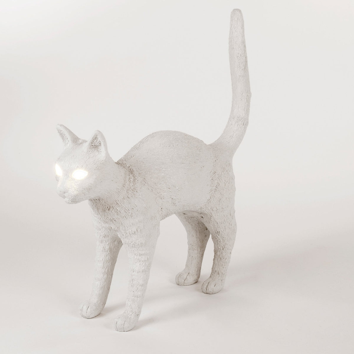 Jobby The Cat - White Edition