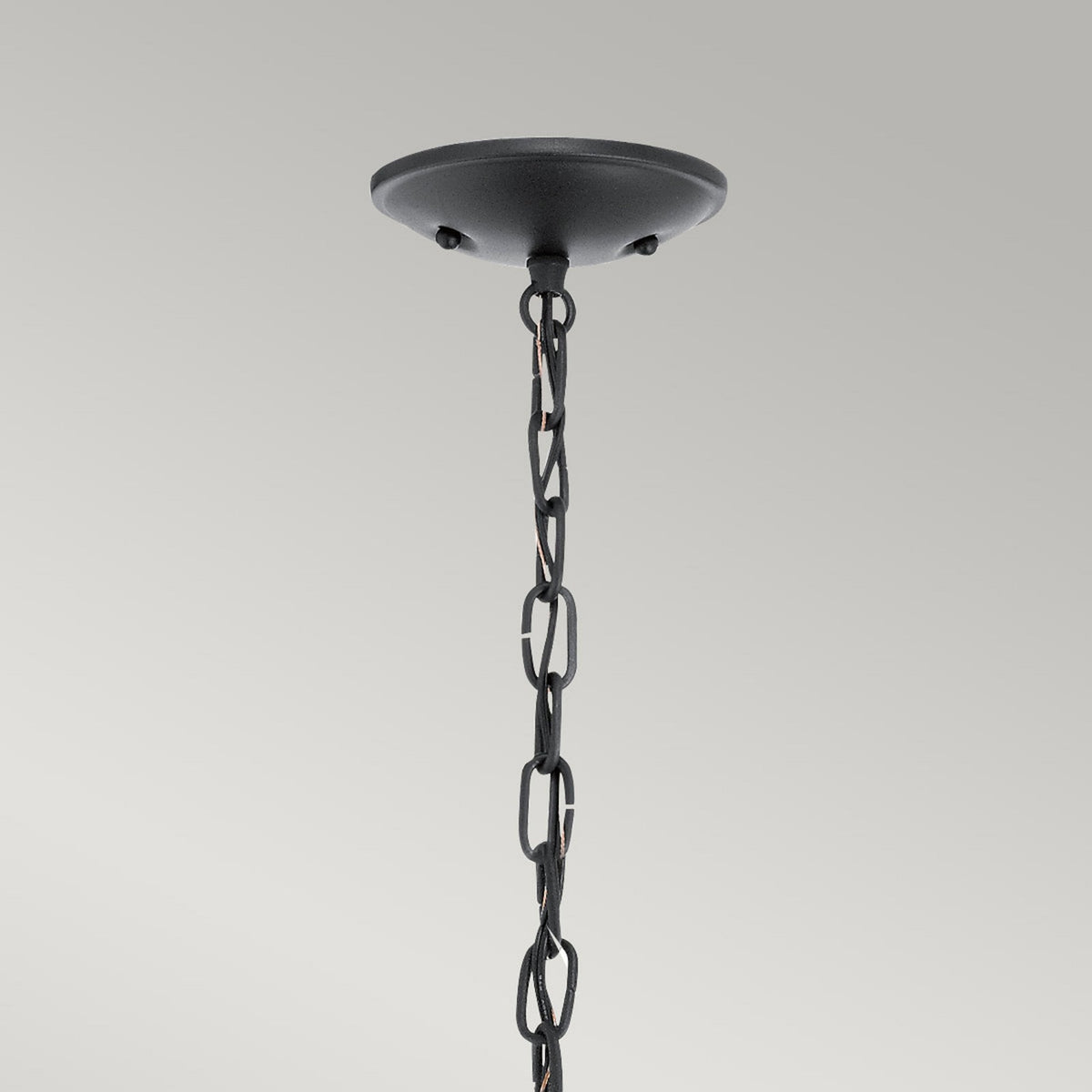 Vandalia 1 Light Medium Chain Single Lantern in Black