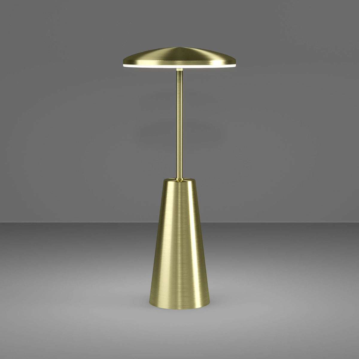 Piccola Battery Operated Rechargeable Dimmable CCT LED Table Light in Brushed Brass