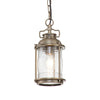 Ashland Bay Outdoor Chain Pendant in Burnished Bronze