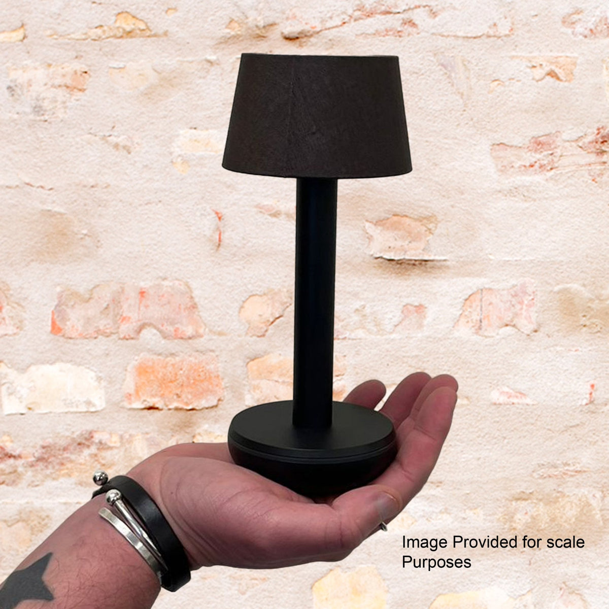 The Two IP65 LED Rechargeable Portable Table Lamp In Gold With Frosted Glass Shade