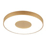 Coin Remote Control 80W LED Round Ceiling Light In Gold