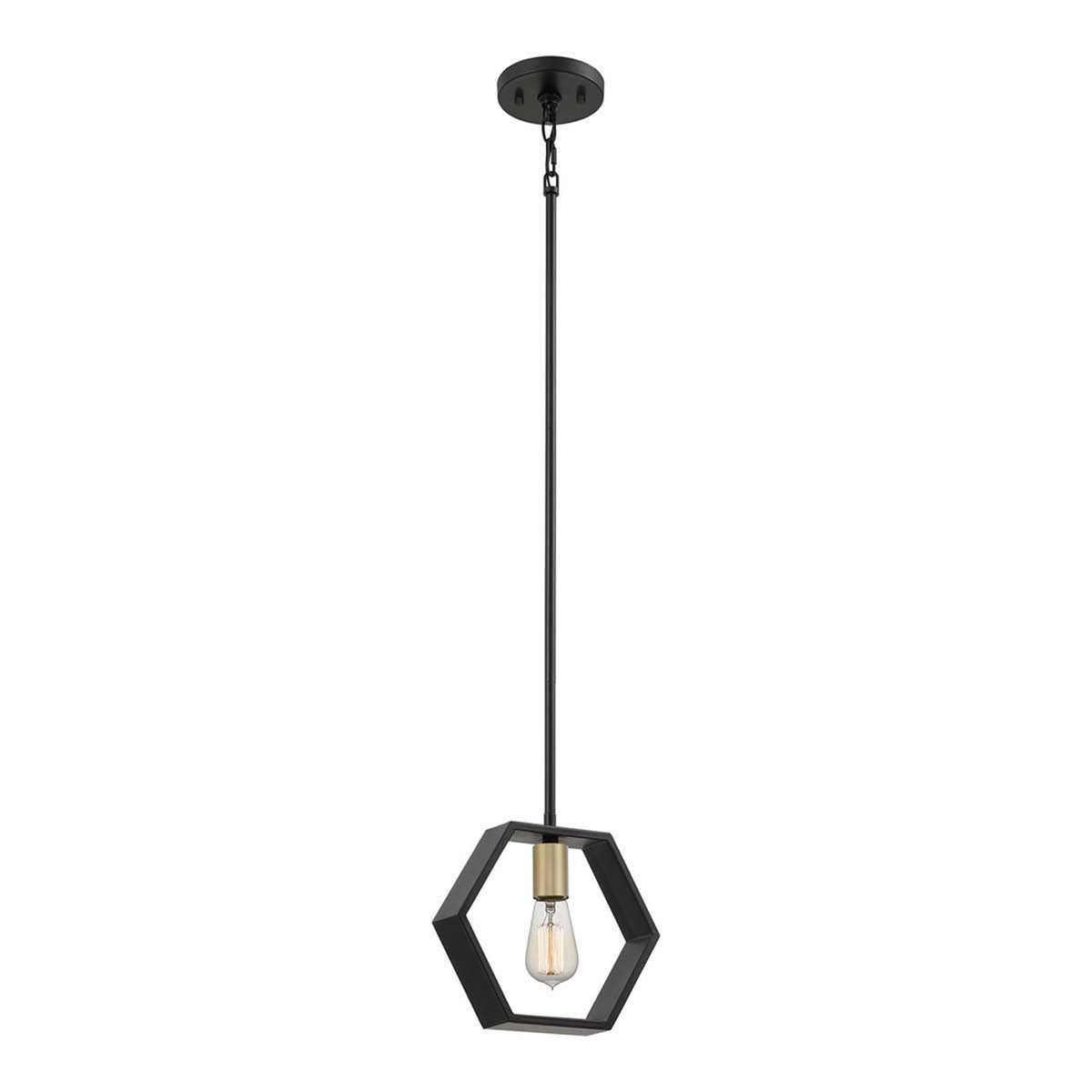 Bismarck Geometric Single Lamp Pendant in Earth Black