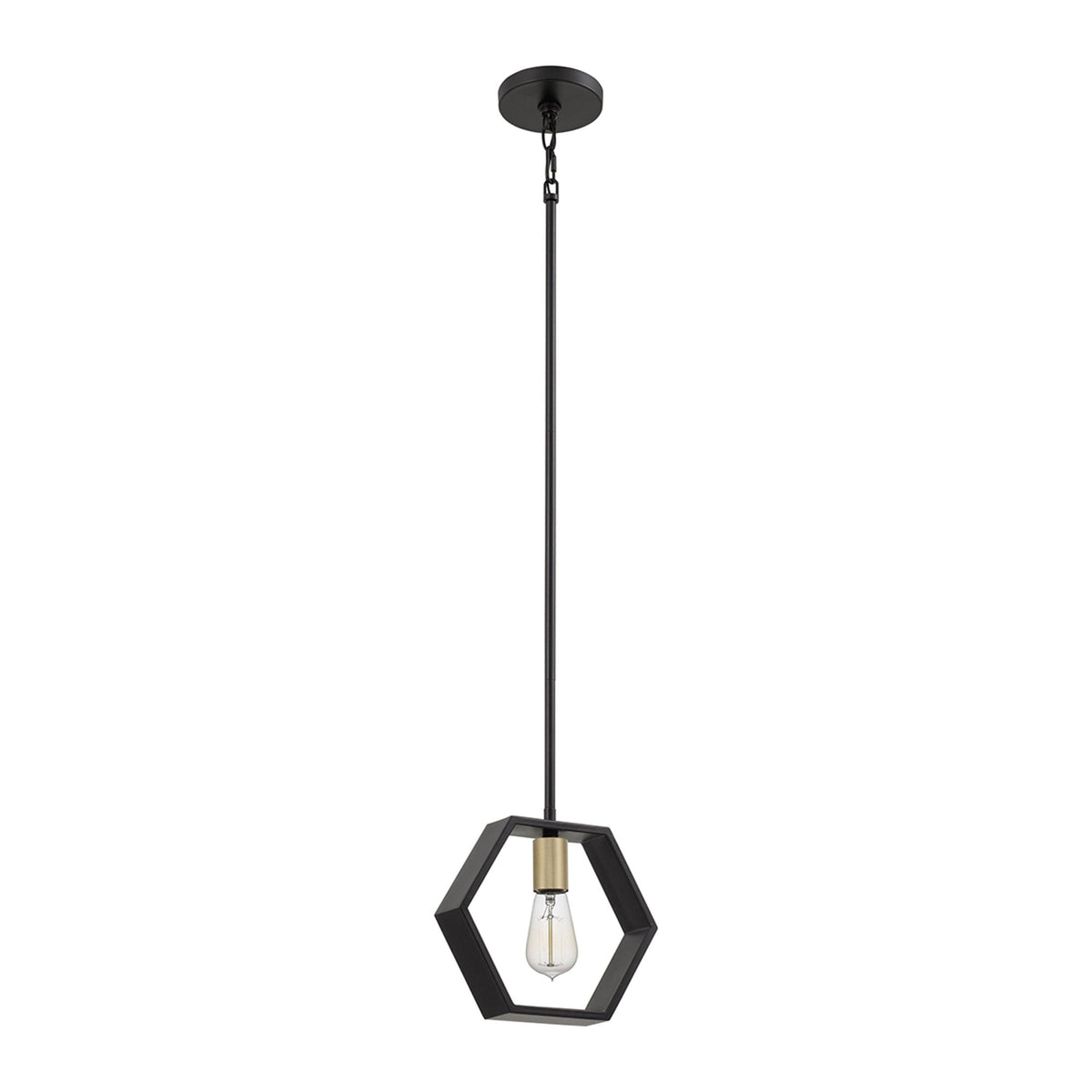 Bismarck Geometric Single Lamp Pendant in Earth Black