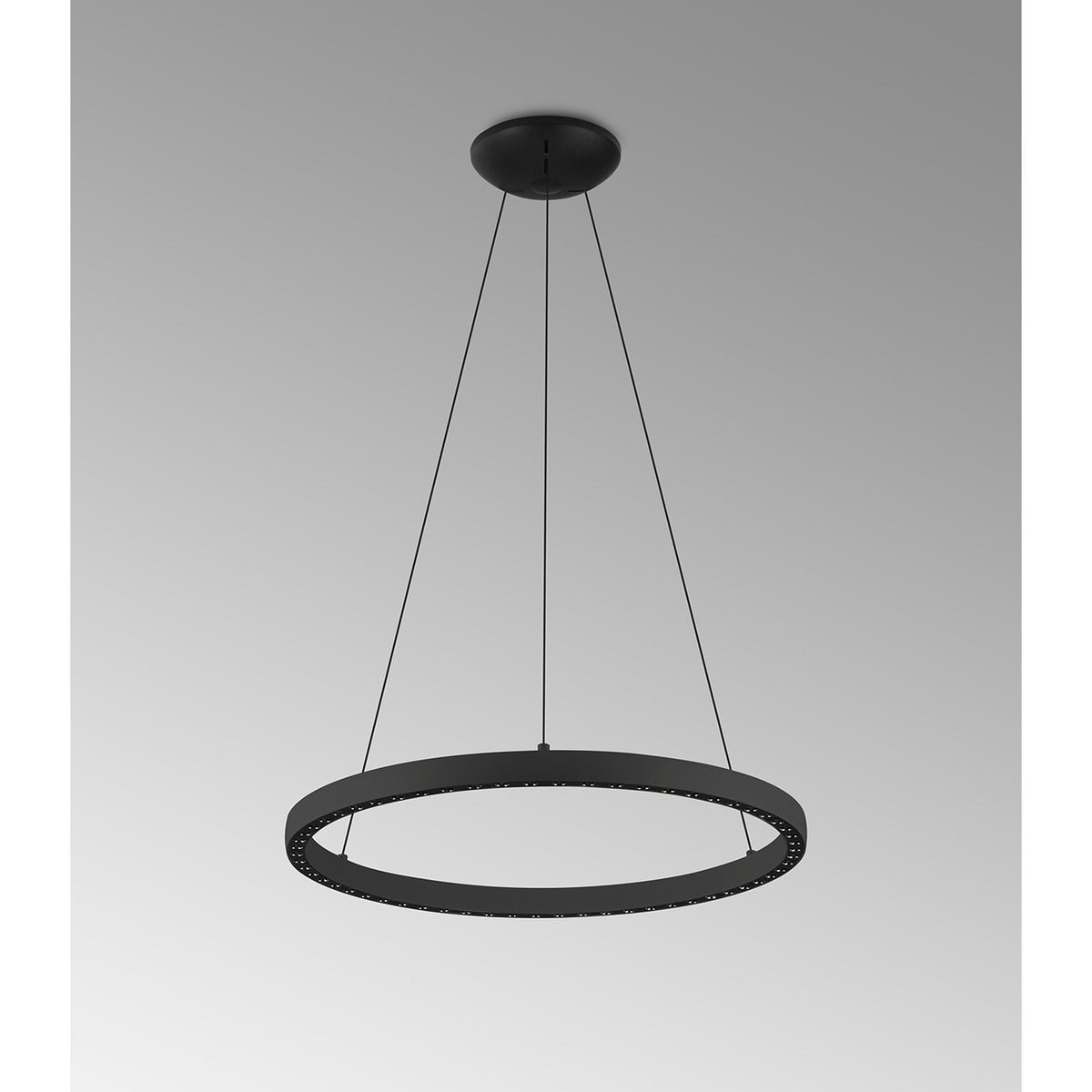Riumar LED Pendant In Black