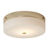 Tamar Large IP44 Ceiling Light in Polished Gold with Opal Glass Shade