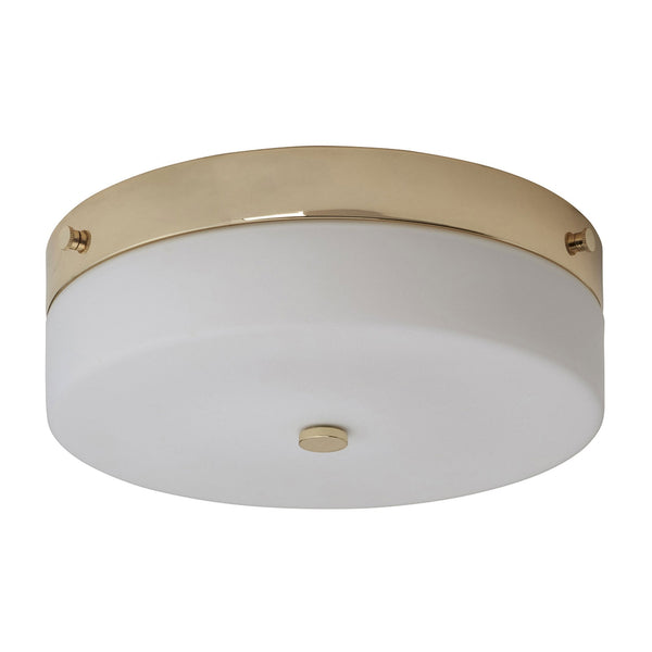 Tamar Large IP44 Ceiling Light in Polished Gold with Opal Glass Shade