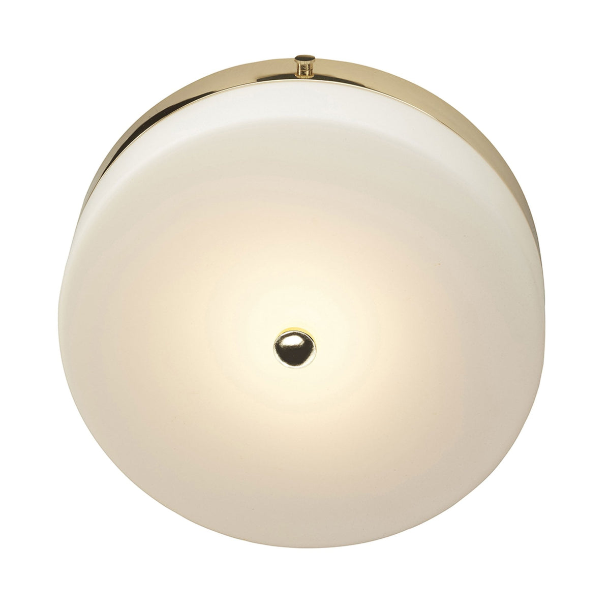 Tamar Large IP44 Ceiling Light in Polished Gold with Opal Glass Shade
