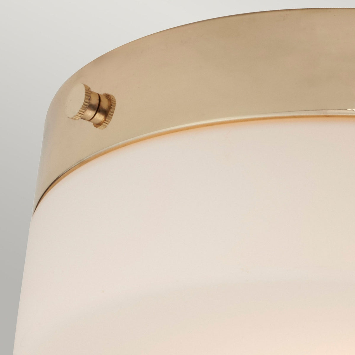 Tamar Large IP44 Ceiling Light in Polished Gold with Opal Glass Shade