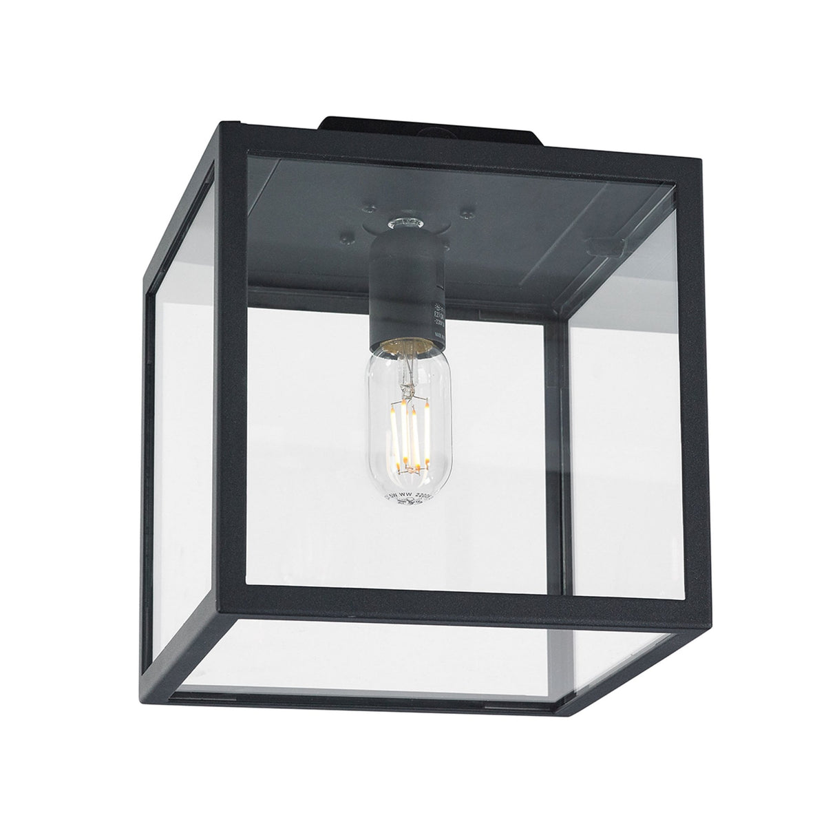 Lofoten Coastal Box Ceilng Light in Black with Clear Glass Panels