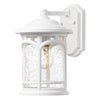 Marblehead Coastal Small Wall Light in White with Seeded Glass