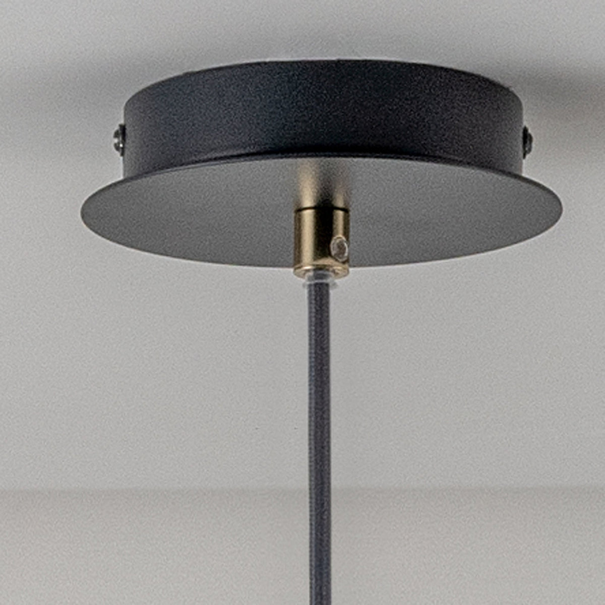 Cone Pendant Light in Charcoal Grey & Brass