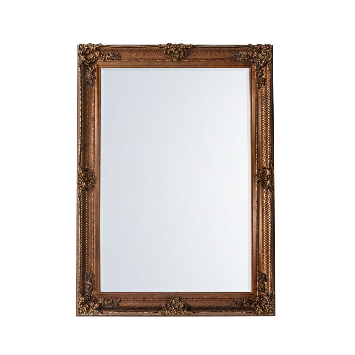 Bucklebury Aged Gold Wood Rectangle Wall Mirror