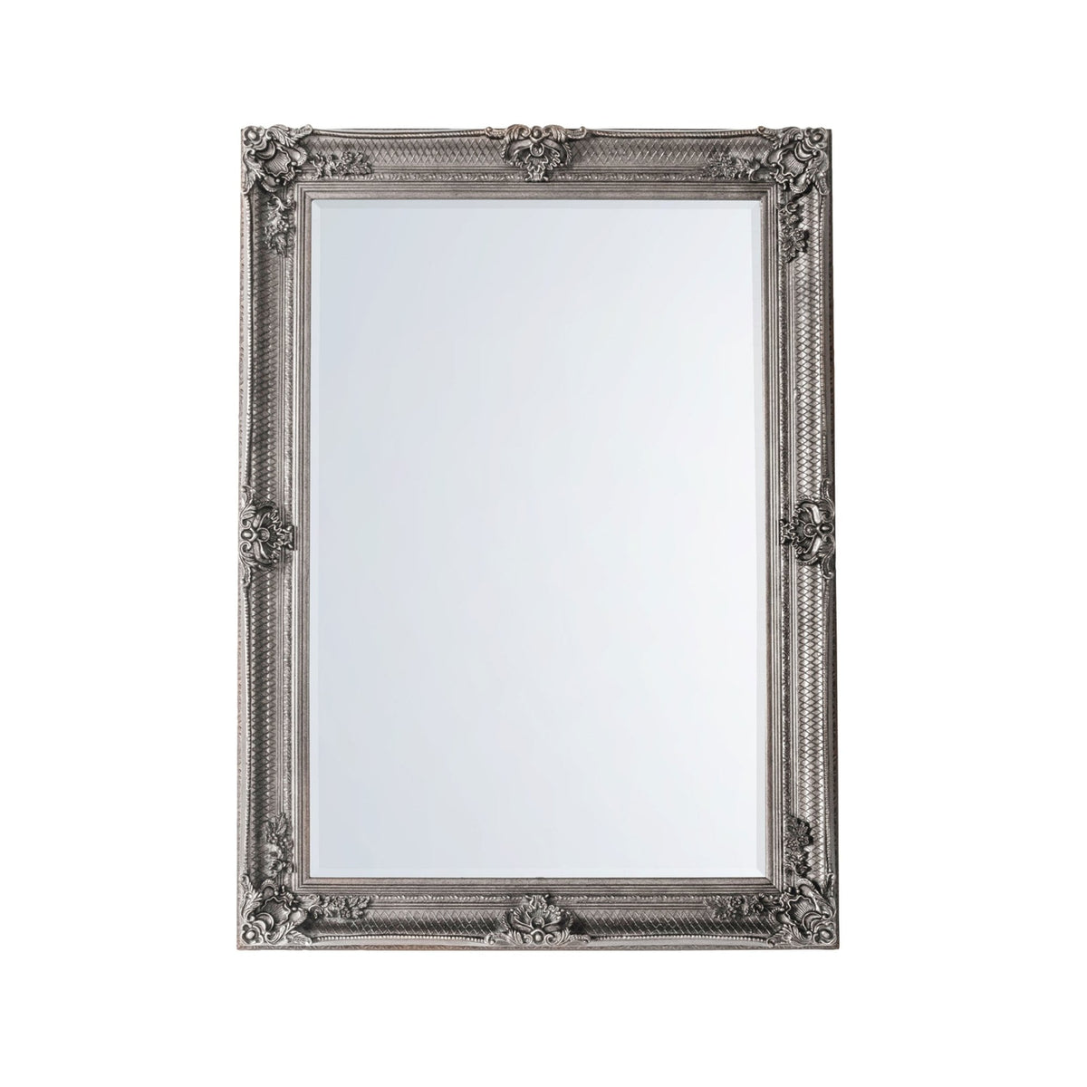 A vertical ornate silver mirror with a plain white background.