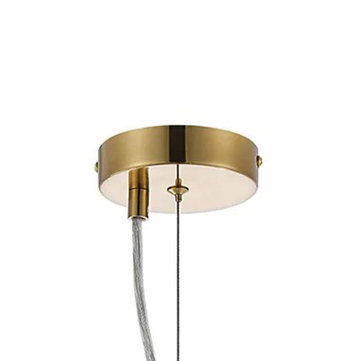 Kelly Six Light Pendant in Brass & Clear Glass