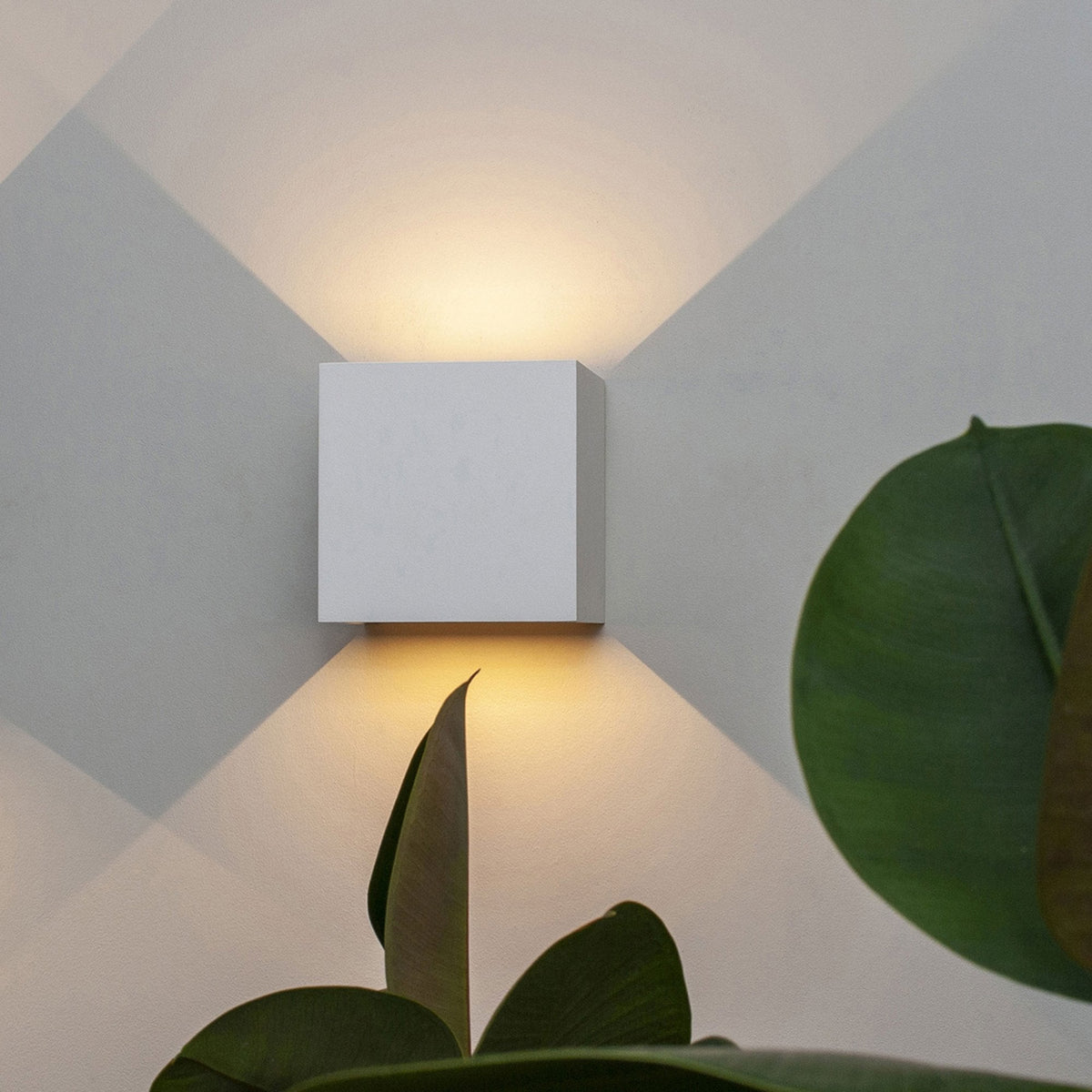 A square white wall light emitting light upwards and downwards, with plants in the foreground.