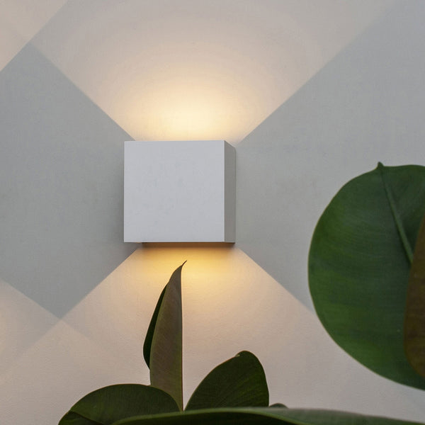 A square white wall light emitting light upwards and downwards, with plants in the foreground.
