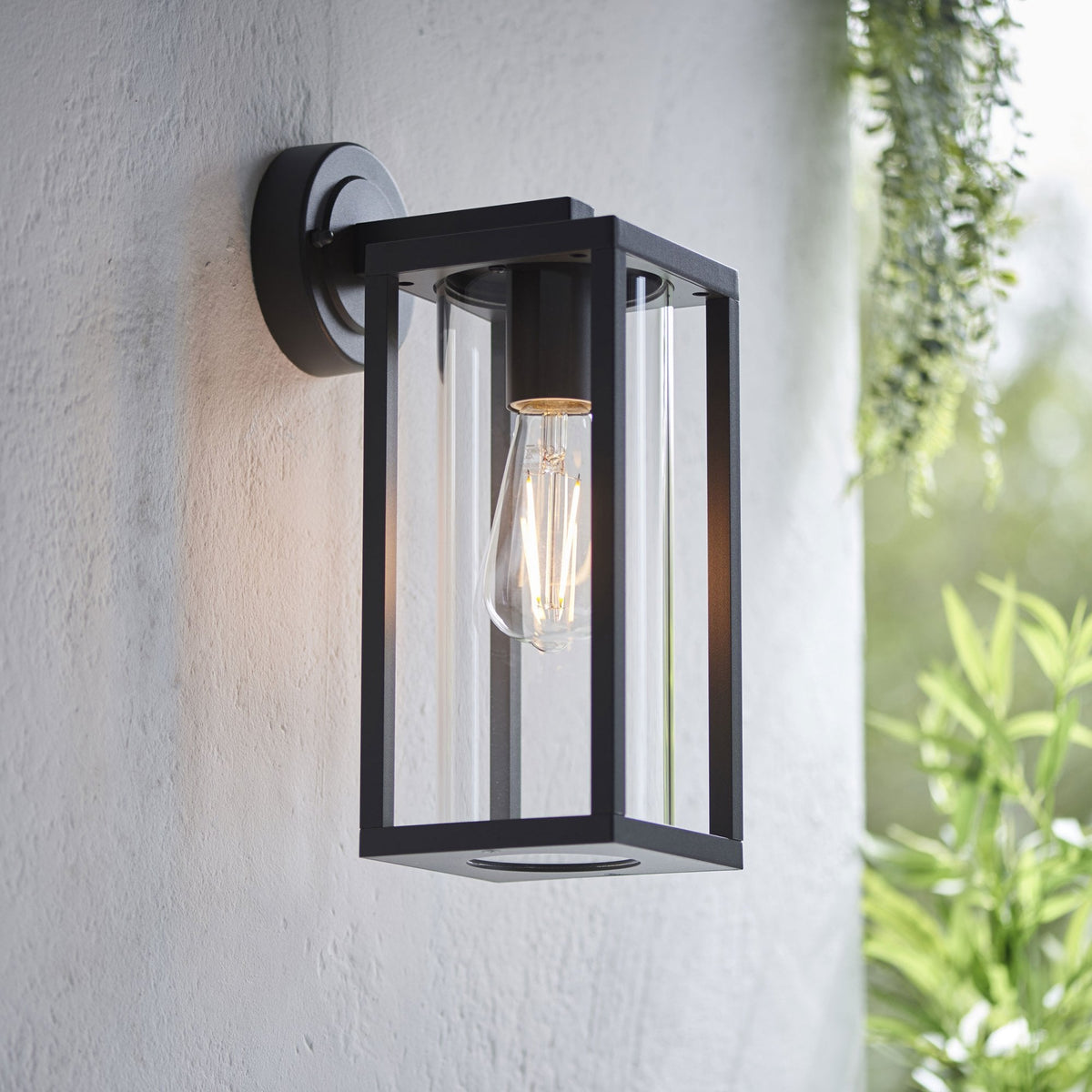 Black outdoor wall light with clear glass panels and an exposed filament bulb, mounted on a light wall with greenery.