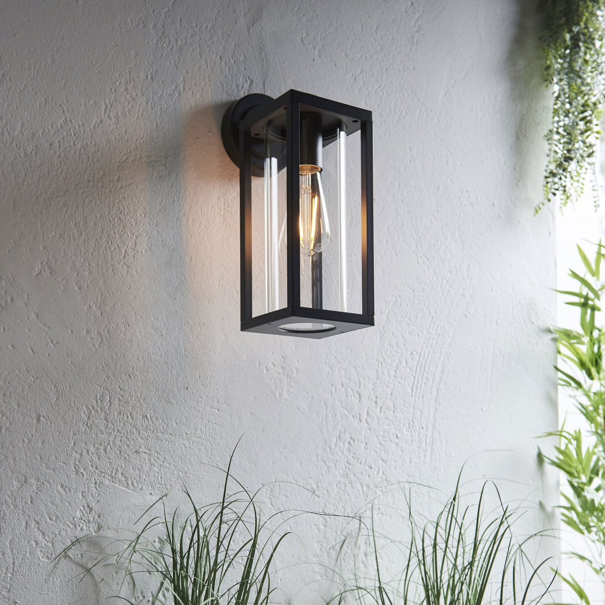 Black outdoor wall light with clear glass panels, illuminating a textured wall above green plants.