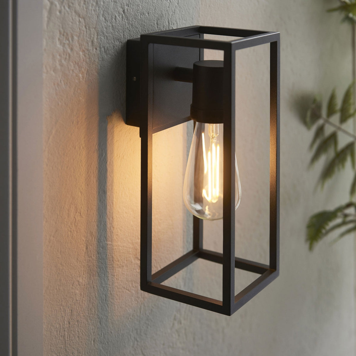 Black framed wall light with an exposed bulb on a light-colored wall, with subtle plant shadows.