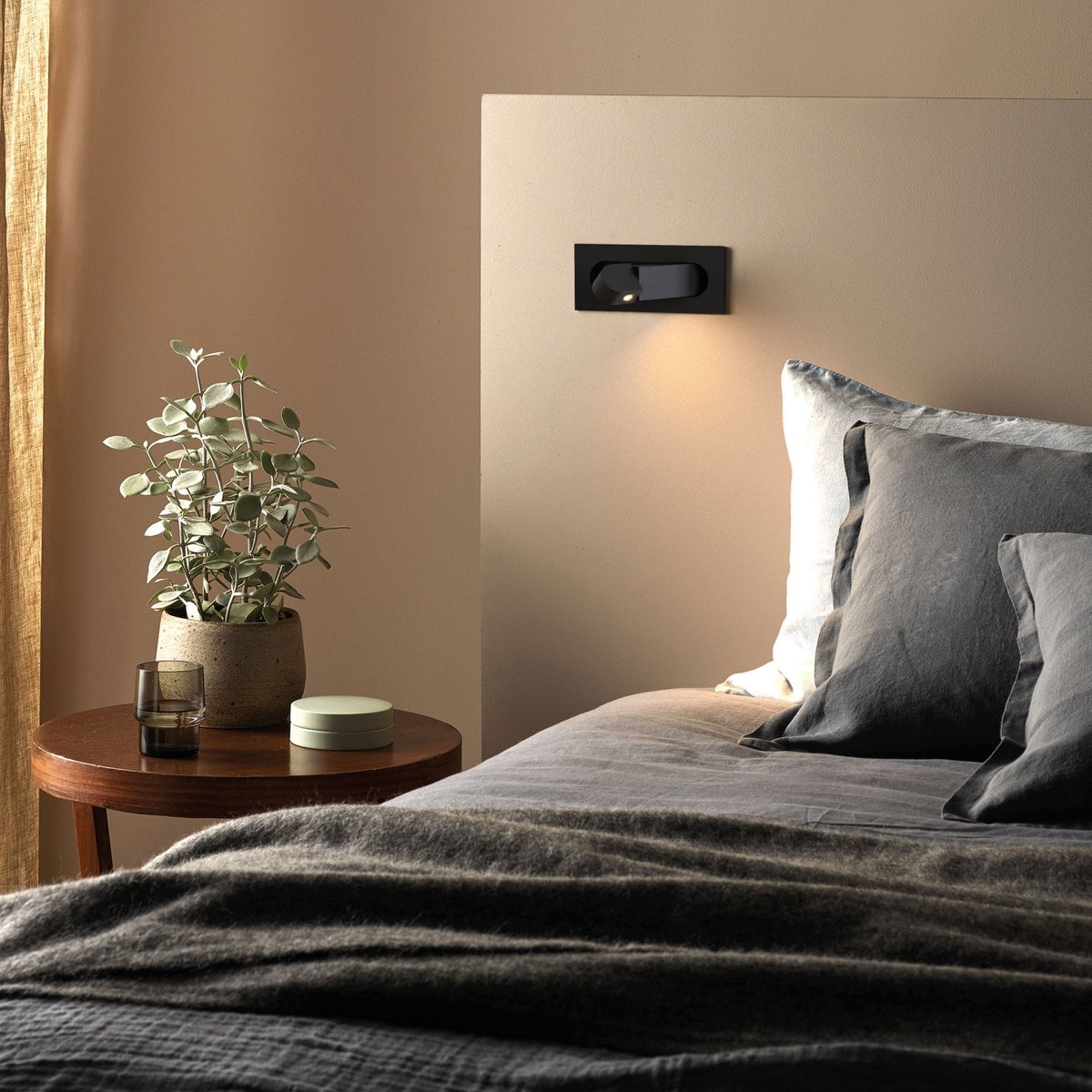 Bedroom with a bed, side table, plant, and wall-mounted light
