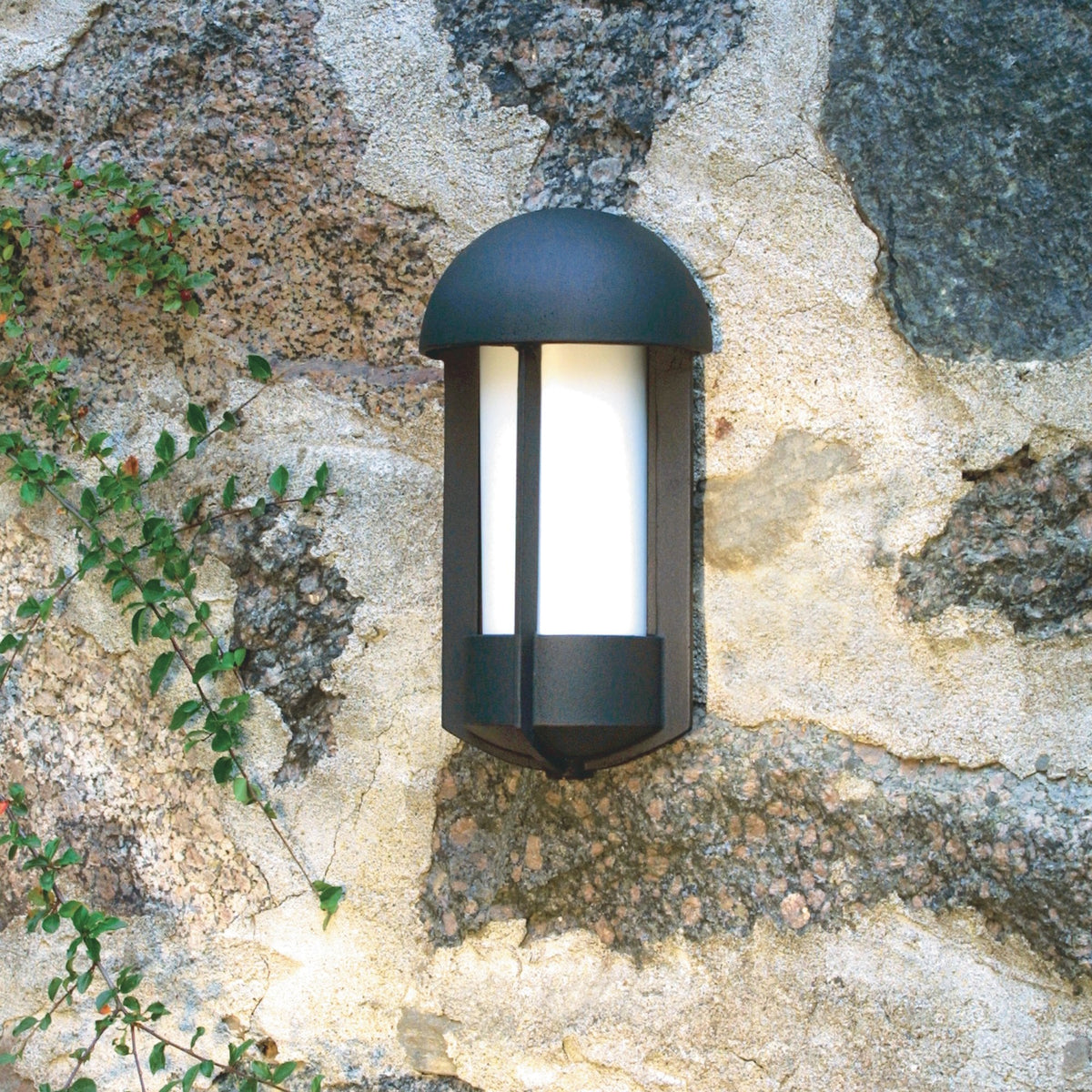 Tyr IP23 Wall Light In Black