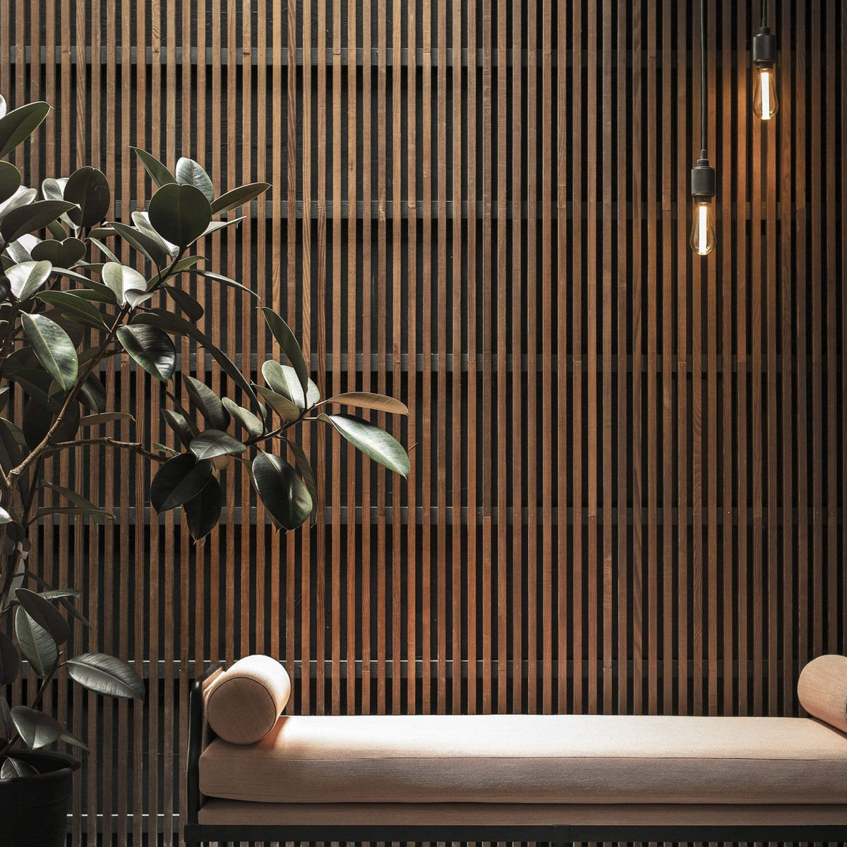 A modern room with a wooden slatted wall, a large green plant, a light pink bench, and two hanging Edison bulbs.