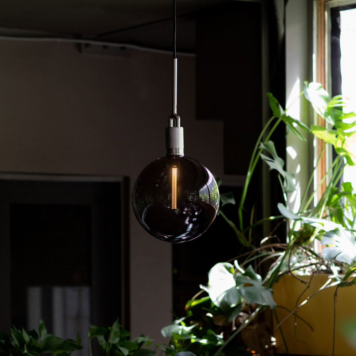 A dark, spherical lightbulb with a glowing filament, hanging in a room with plants and a sunlit window.