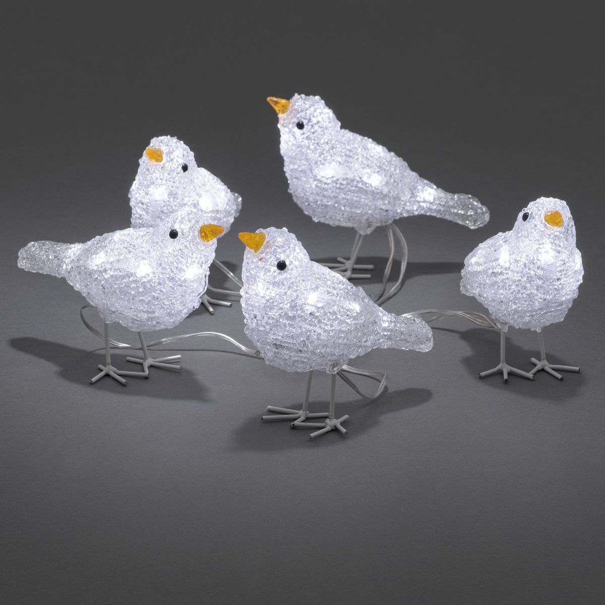 Five Baby Birds 40 LED Light String