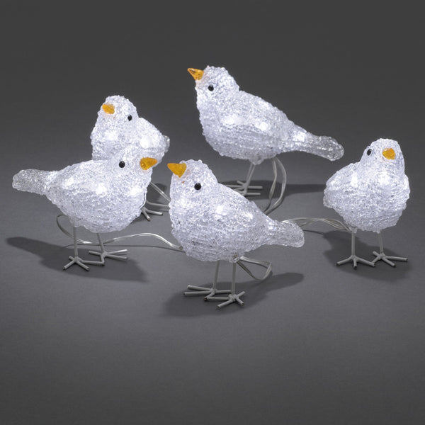 Five Baby Birds 40 LED Light String