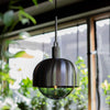 Forked Single Shade Pendant in a Steel Finish with Large Smoked Globe