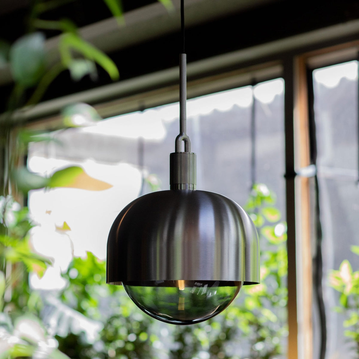 A modern brushed metal pendant light with a clear glass dome, hanging in a bright room with green plants.