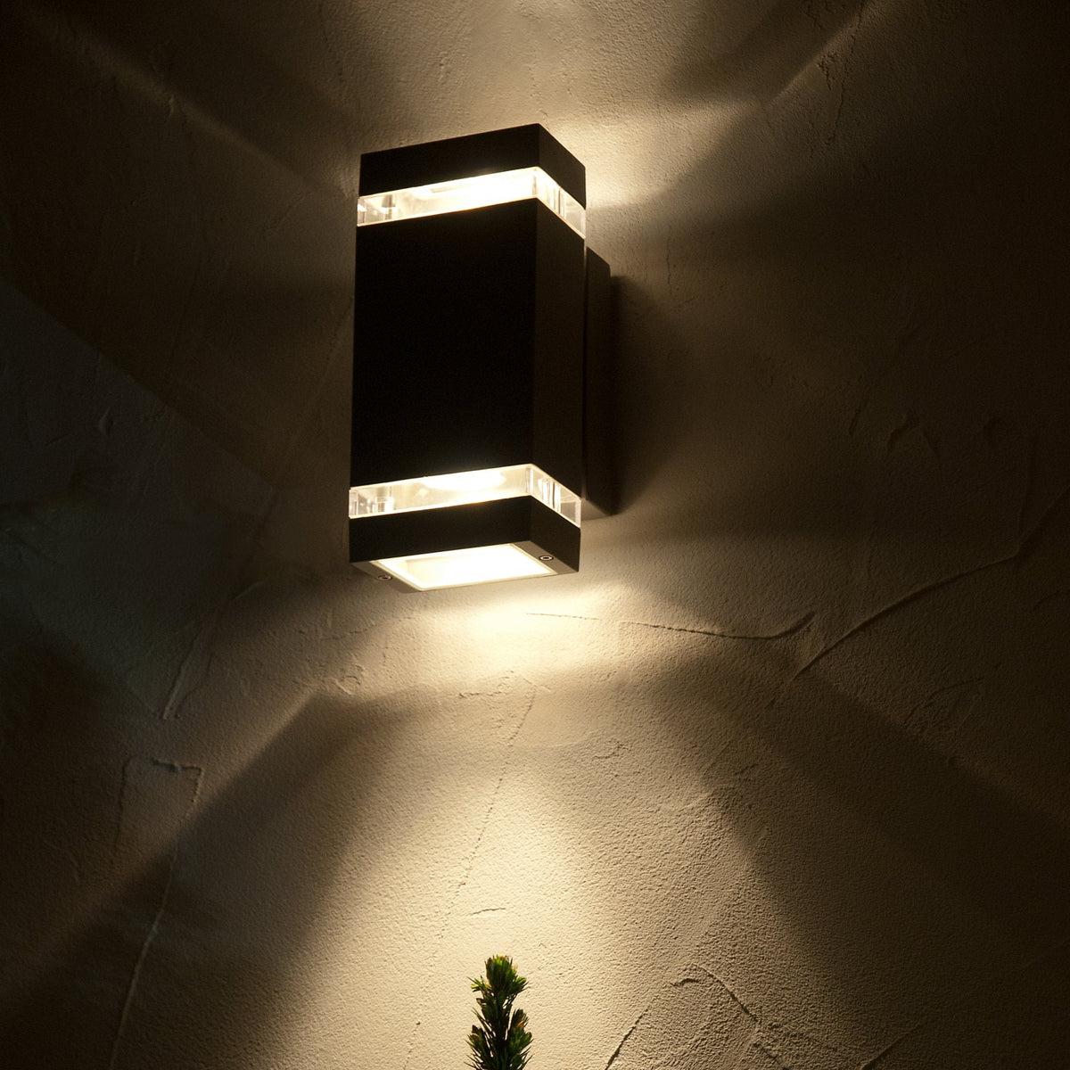 Focus Up and Down LED Wall Light in Dark Grey