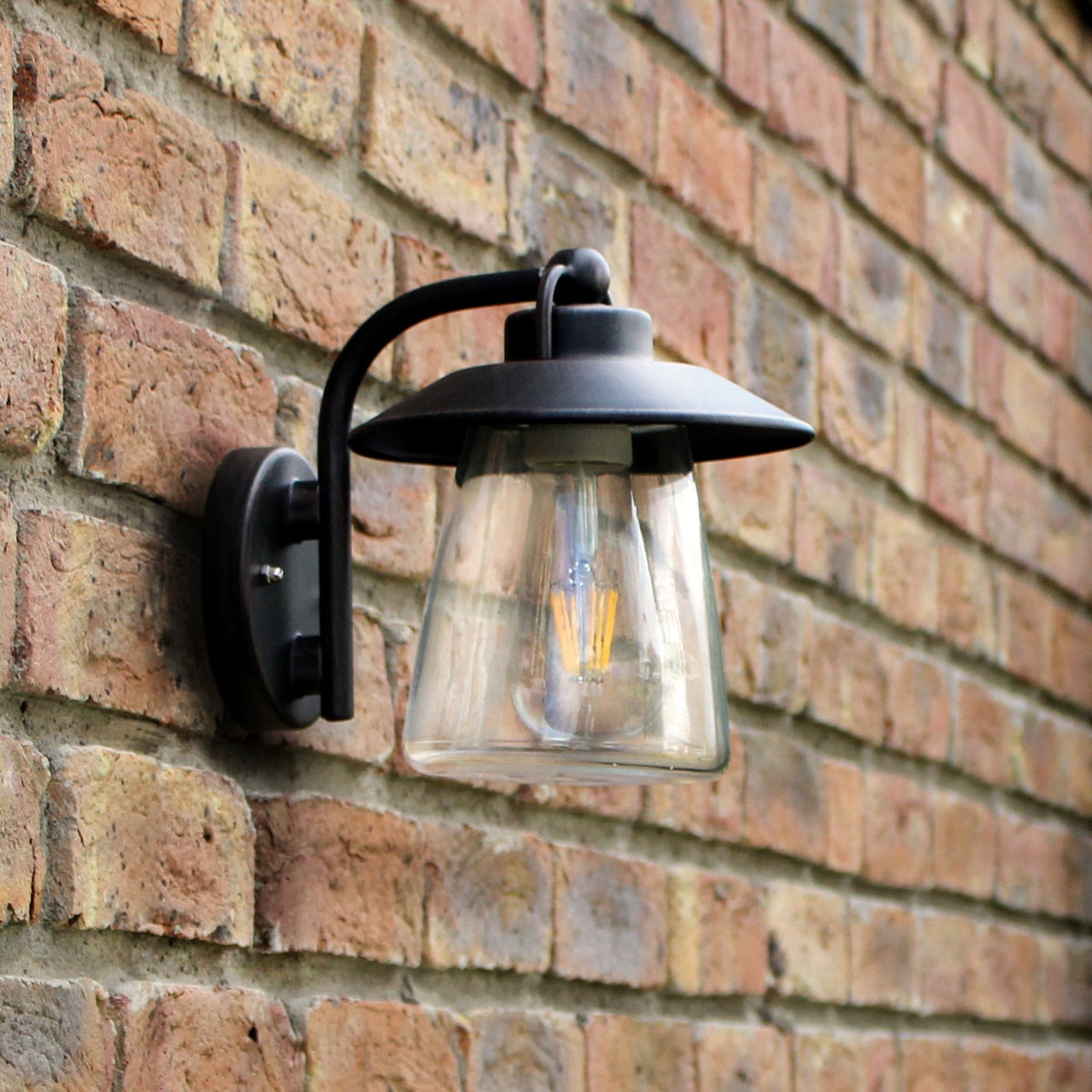 Cate Exterior Wall Lantern in Brown & Black