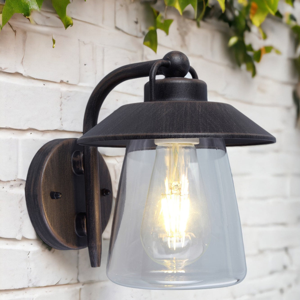 Cate Exterior Wall Lantern in Brown & Black