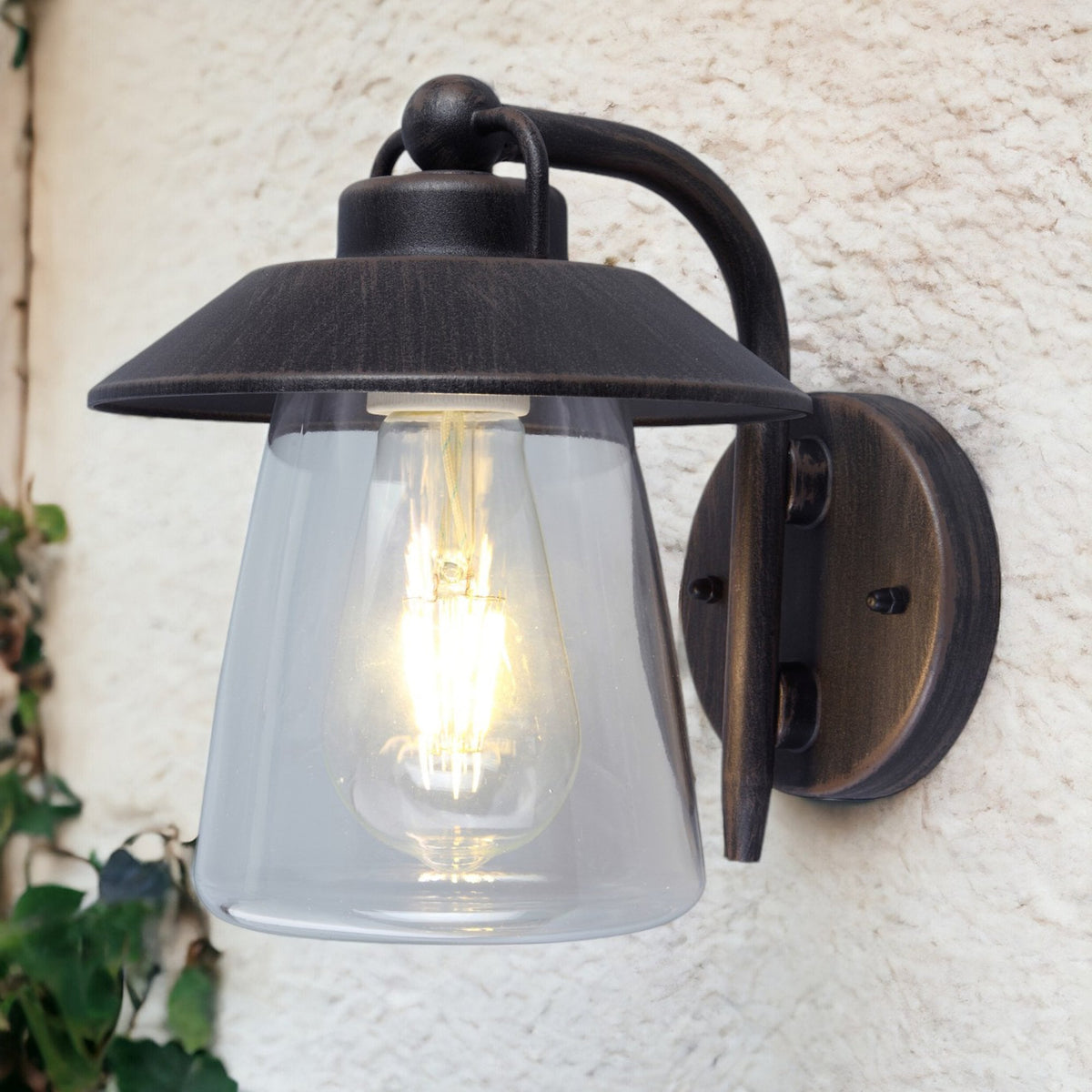 Cate Exterior Wall Lantern in Brown & Black