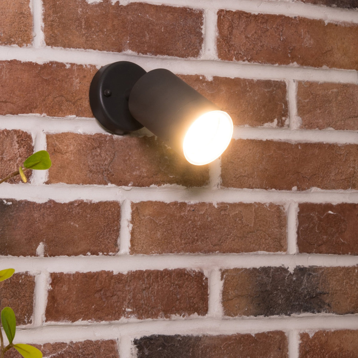 Rado Adjustable Outside Wall Spotlight in Black Graphite