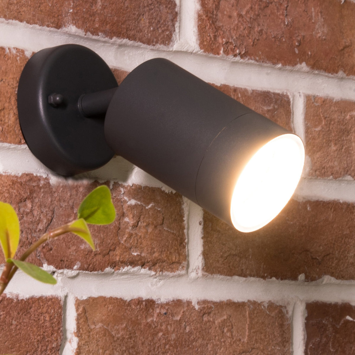 Rado Adjustable Outside Wall Spotlight in Black Graphite