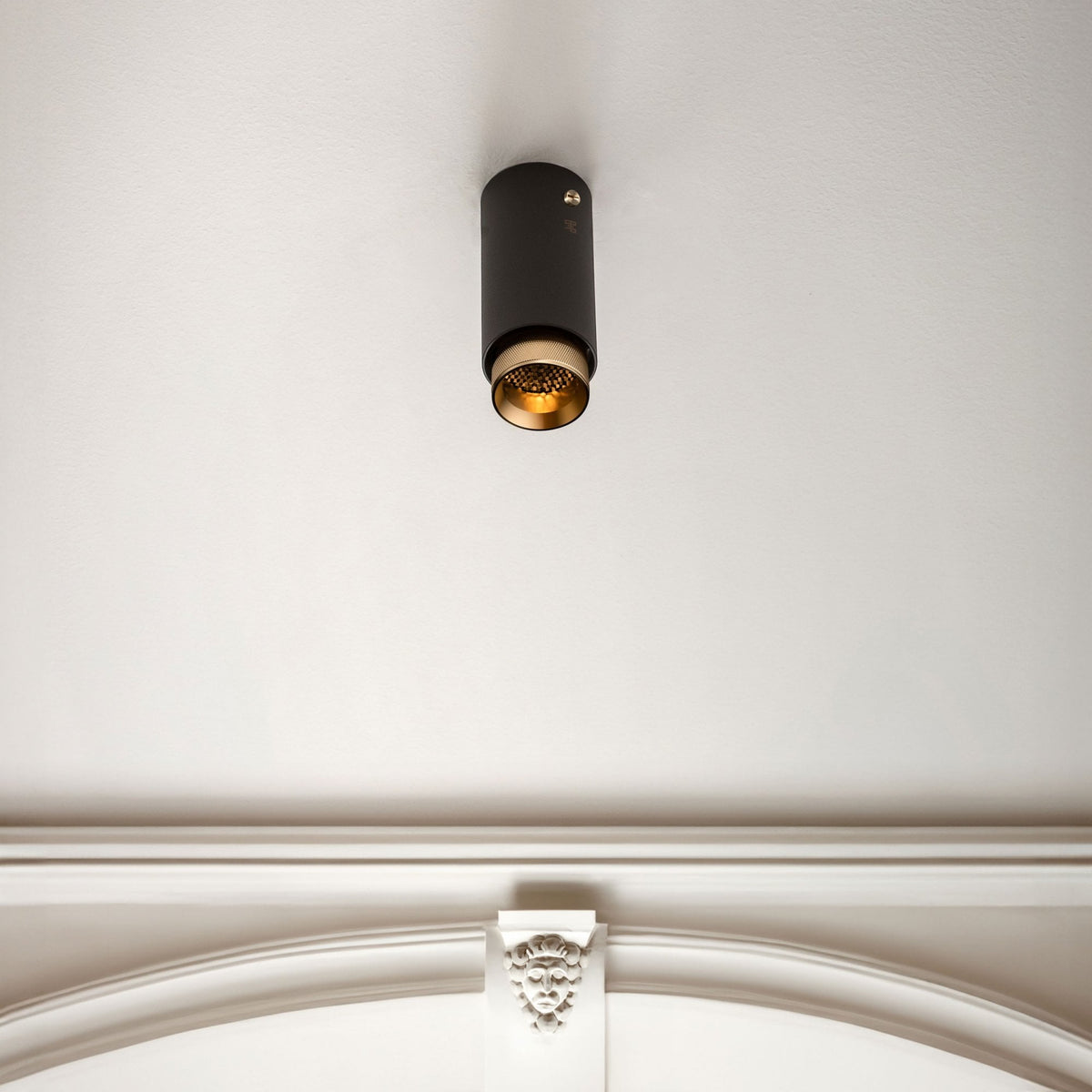 Exhaust Surface Mounted Downlight in a Graphite Finish with Brass Detail