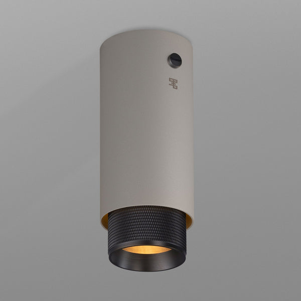 Exhaust Surface Mounted Downlight in a Stone Finish with Smoked Bronze Detail
