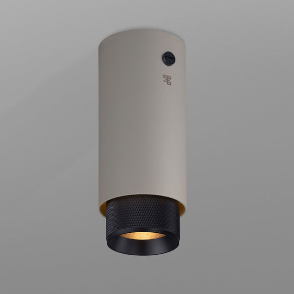 Exhaust Surface Mounted Downlight in a Stone Finish with Black Detail