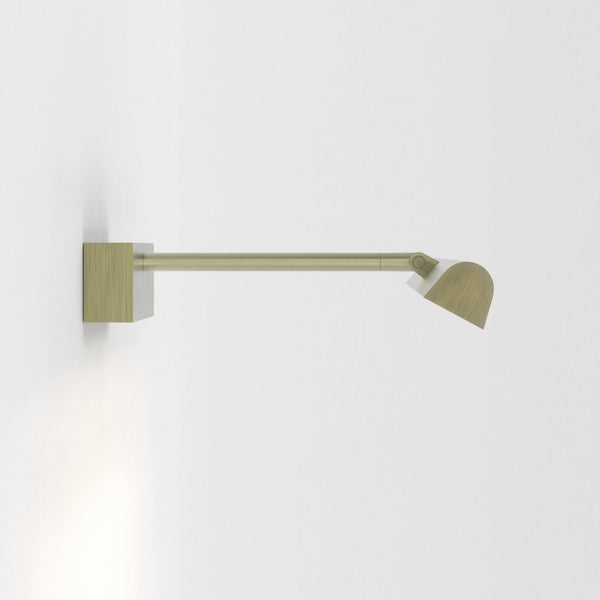 Renoir 520 LED Adjustable Picture Wall Light In Brushed Brass