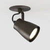 Juno Recessed Single Spotlight in Bronze
