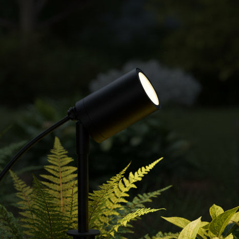 Black outdoor spotlight illuminating ferns in a garden at night
