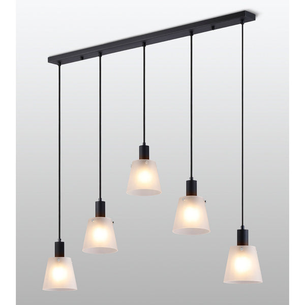 Essington 5 Drop Linear Pendant with Frosted White Glass Shades