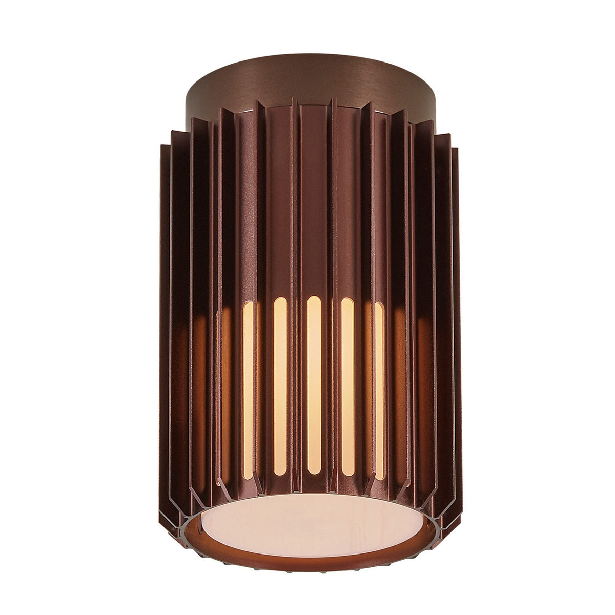 Aludra Coastal Surface Mounted Ceiling Light In Metallic Brown